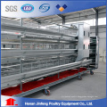 H Type Automatic/Semi Automatic Poultry Equipment for Layer Broiler Chicken Farm